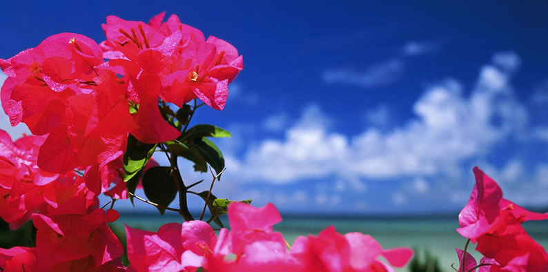 Slideshow Image 6